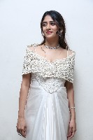 Chandini Chowdary at Yevam Pre Release